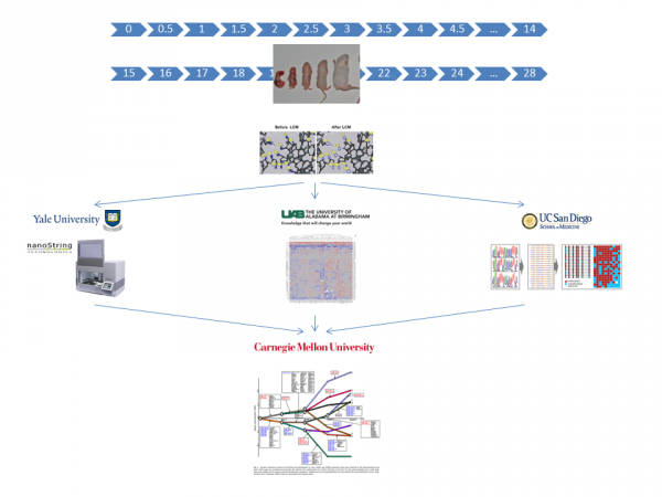 flowchart